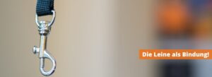 Die Leine: Unverzichtbar, aber nicht immer einfach!