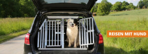 Reisen mit Hund – Reise-Lust statt Reise-Frust