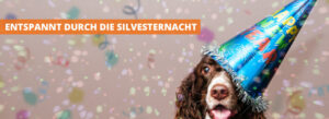 Hunde an Silvester unterstützen